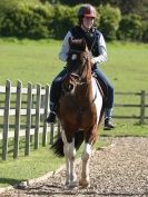 Image 7 in BROADS EC  SHOW JUMPING 5 APRIL 2014 AND WORKING HUNTERS SUNDAY 6 APRIL 2014