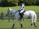 Image 8 in BROADS EC  SHOW JUMPING 5 APRIL 2014 AND WORKING HUNTERS SUNDAY 6 APRIL 2014