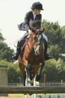 Image 114 in STRUMPSHAW  PARK  RIDING  CLUB  12  AUG  2012