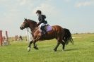 Image 116 in STRUMPSHAW  PARK  RIDING  CLUB  12  AUG  2012