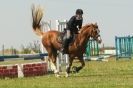 Image 120 in STRUMPSHAW  PARK  RIDING  CLUB  12  AUG  2012