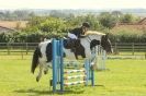 Image 131 in STRUMPSHAW  PARK  RIDING  CLUB  12  AUG  2012