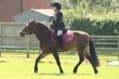 Image 14 in STRUMPSHAW PARK RIDING CLUB 12 AUG 2012