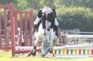 Image 144 in STRUMPSHAW  PARK  RIDING  CLUB  12  AUG  2012