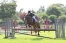 Image 154 in STRUMPSHAW  PARK  RIDING  CLUB  12  AUG  2012