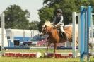 Image 17 in STRUMPSHAW PARK RIDING CLUB 12 AUG 2012