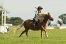 Image 19 in STRUMPSHAW PARK RIDING CLUB 12 AUG 2012