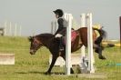 Image 25 in STRUMPSHAW  PARK  RIDING  CLUB  12  AUG  2012