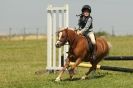 Image 35 in STRUMPSHAW  PARK  RIDING  CLUB  12  AUG  2012