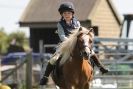 Image 36 in STRUMPSHAW  PARK  RIDING  CLUB  12  AUG  2012