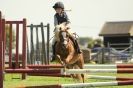 Image 37 in STRUMPSHAW  PARK  RIDING  CLUB  12  AUG  2012