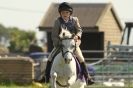 Image 40 in STRUMPSHAW  PARK  RIDING  CLUB  12  AUG  2012