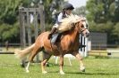 Image 53 in STRUMPSHAW  PARK  RIDING  CLUB  12  AUG  2012