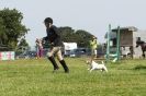 Image 67 in STRUMPSHAW  PARK  RIDING  CLUB  12  AUG  2012