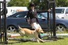 Image 70 in STRUMPSHAW PARK RIDING CLUB 12 AUG 2012