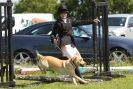 Image 70 in STRUMPSHAW  PARK  RIDING  CLUB  12  AUG  2012