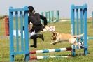 Image 71 in STRUMPSHAW  PARK  RIDING  CLUB  12  AUG  2012