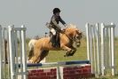 Image 72 in STRUMPSHAW  PARK  RIDING  CLUB  12  AUG  2012