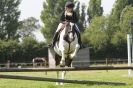 Image 75 in STRUMPSHAW  PARK  RIDING  CLUB  12  AUG  2012