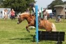 Image 85 in STRUMPSHAW  PARK  RIDING  CLUB  12  AUG  2012