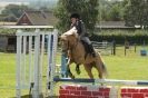 Image 87 in STRUMPSHAW  PARK  RIDING  CLUB  12  AUG  2012