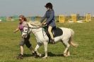 Image 9 in STRUMPSHAW  PARK  RIDING  CLUB  12  AUG  2012