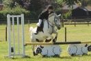 Image 90 in STRUMPSHAW  PARK  RIDING  CLUB  12  AUG  2012