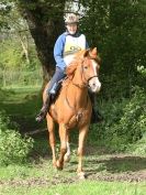 Image 27 in THORINGTON CHARITY RIDE