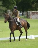 Image 11 in HOUGHTON  INTERNATIONAL. UNAFFILIATED DRESSAGE 2014