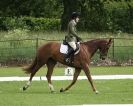Image 12 in HOUGHTON  INTERNATIONAL. UNAFFILIATED DRESSAGE 2014