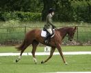 Image 12 in HOUGHTON INTERNATIONAL. UNAFFILIATED DRESSAGE 2014