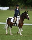 Image 13 in HOUGHTON  INTERNATIONAL. UNAFFILIATED DRESSAGE 2014