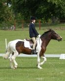 Image 14 in HOUGHTON INTERNATIONAL. UNAFFILIATED DRESSAGE 2014
