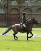 Image 15 in HOUGHTON  INTERNATIONAL. UNAFFILIATED DRESSAGE 2014