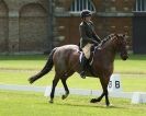 Image 16 in HOUGHTON  INTERNATIONAL. UNAFFILIATED DRESSAGE 2014