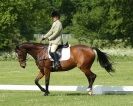 Image 2 in HOUGHTON INTERNATIONAL. UNAFFILIATED DRESSAGE 2014