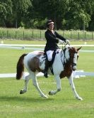 Image 21 in HOUGHTON  INTERNATIONAL. UNAFFILIATED DRESSAGE 2014