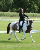 Image 21 in HOUGHTON INTERNATIONAL. UNAFFILIATED DRESSAGE 2014