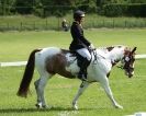 Image 22 in HOUGHTON INTERNATIONAL. UNAFFILIATED DRESSAGE 2014