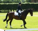 Image 23 in HOUGHTON INTERNATIONAL. UNAFFILIATED DRESSAGE 2014