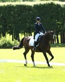 Image 24 in HOUGHTON  INTERNATIONAL. UNAFFILIATED DRESSAGE 2014