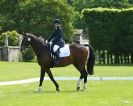 Image 25 in HOUGHTON INTERNATIONAL. UNAFFILIATED DRESSAGE 2014