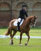 Image 26 in HOUGHTON  INTERNATIONAL. UNAFFILIATED DRESSAGE 2014