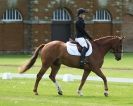 Image 27 in HOUGHTON  INTERNATIONAL. UNAFFILIATED DRESSAGE 2014