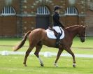 Image 27 in HOUGHTON INTERNATIONAL. UNAFFILIATED DRESSAGE 2014