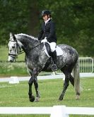 Image 29 in HOUGHTON INTERNATIONAL. UNAFFILIATED DRESSAGE 2014