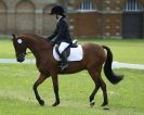 Image 30 in HOUGHTON  INTERNATIONAL. UNAFFILIATED DRESSAGE 2014
