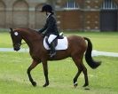 Image 30 in HOUGHTON INTERNATIONAL. UNAFFILIATED DRESSAGE 2014