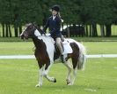 Image 31 in HOUGHTON  INTERNATIONAL. UNAFFILIATED DRESSAGE 2014