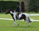 Image 32 in HOUGHTON  INTERNATIONAL. UNAFFILIATED DRESSAGE 2014